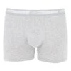 2er-Set: Boxershorts In Hellgrau