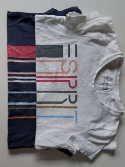 ESPRIT 2er-Set: Shirts In Dunkelblau/ Weiß