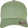 Flexfit Flexfit In Darkleafgreen