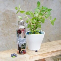 Trinkflasche Surfer Glas In Blau - 500 Ml -Limango Verkäufe geda labels trinkflasche surfer glas in blau 500 ml 1