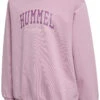 Hummel Sweatshirt Hmlfast Sweatshirt In MAUVE SHADOW