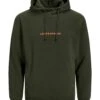 Jack & Jones Kapuzenpullover In Kombu Green