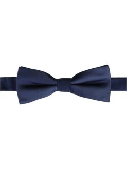 Fliege In Dunkelblau